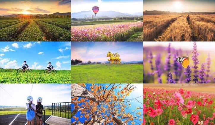 ที่เที่ยวอำเภอเมืองเชียงราย จังหวัดเชียงราย ที่เที่ยวอำเภอเมืองเชียงราย จังหวัดเชียงราย