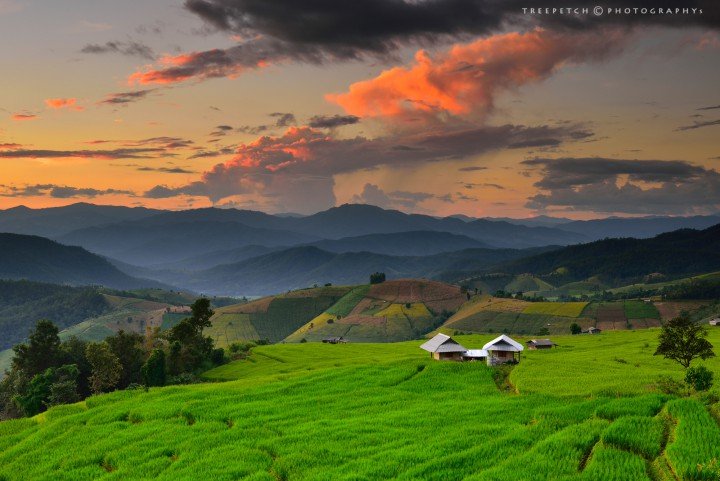 รวมเที่ยวนาขั้นบันได ในเชียงใหม่-เชียงราย รวมเที่ยวนาขั้นบันได ในเชียงใหม่-เชียงราย