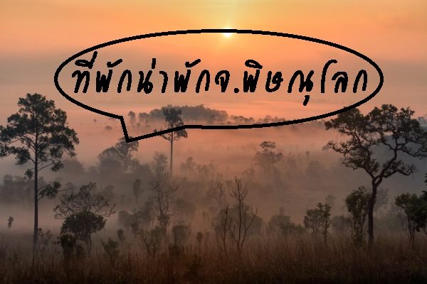 รีวิวที่พักน่าพักในจ.พิษณุโลก รีวิวที่พักน่าพักในจ.พิษณุโลก