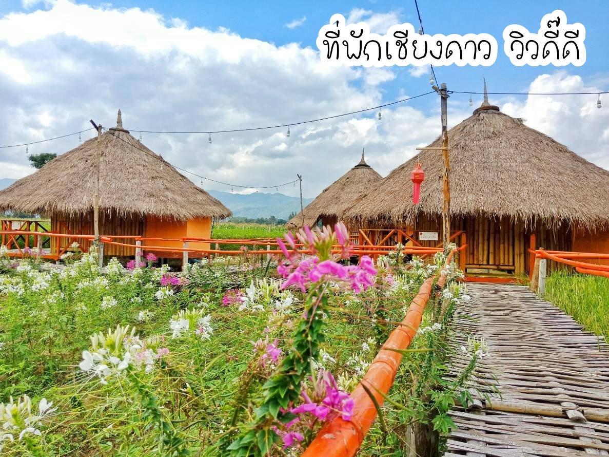 รีวิวที่พักวิวสวยเชียงดาว ที่พักวิวหลักล้าน อ.เชียงดาว จ.เชียงใหม่ รีวิวที่พักวิวสวยเชียงดาว ที่พักวิวหลักล้าน อ.เชียงดาว จ.เชียงใหม่