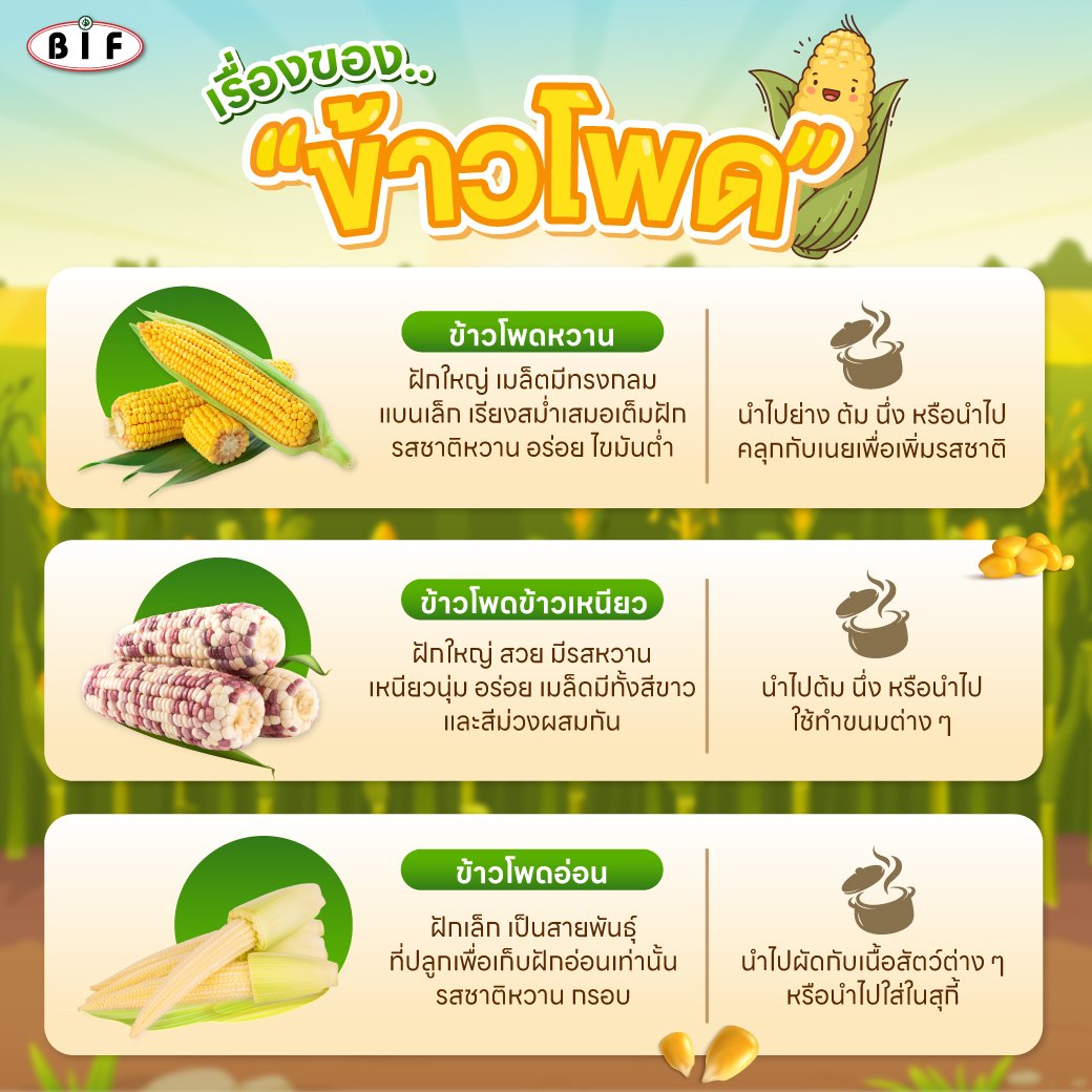 About "corns" About "corns"