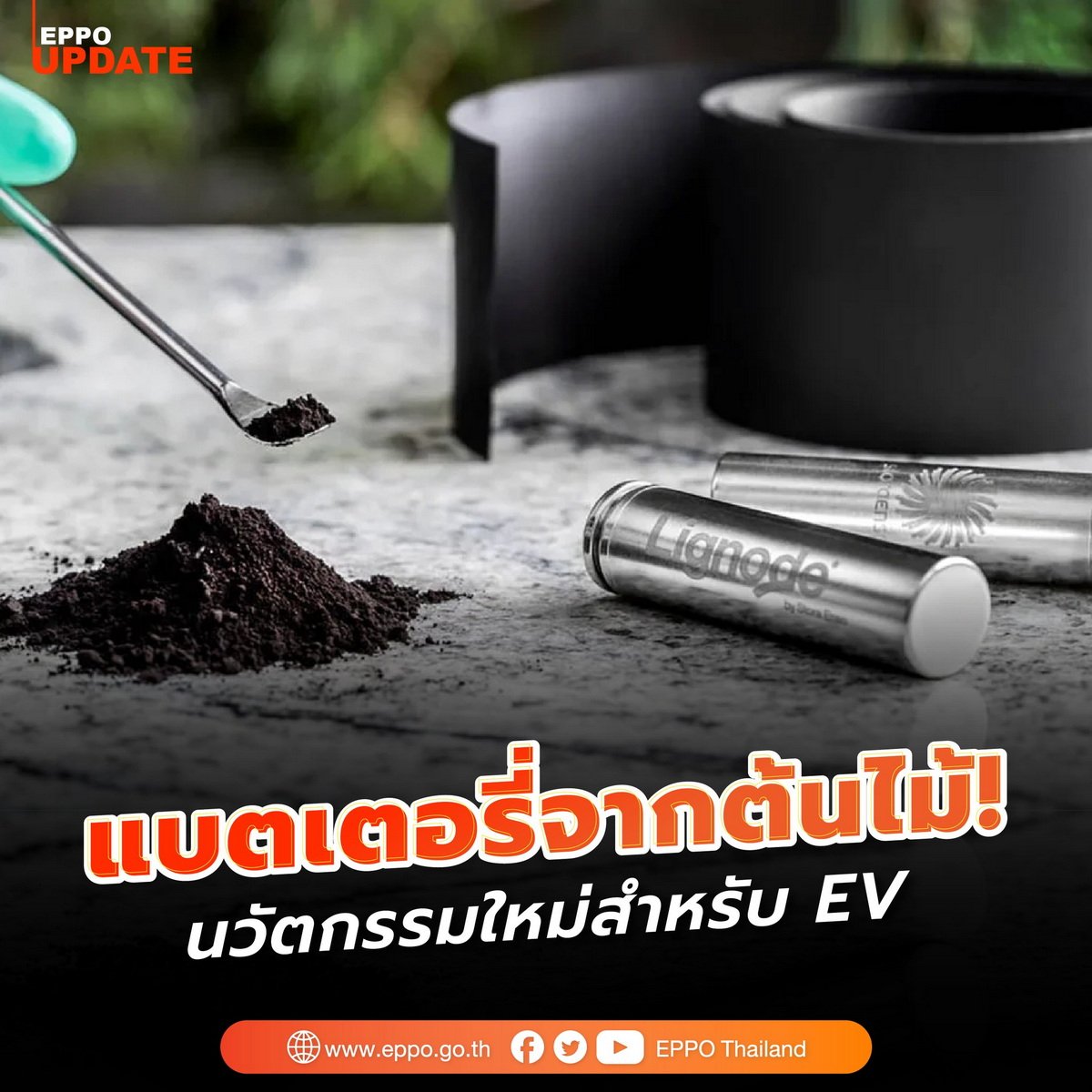 แบตเตอรี่ EV จากต้นไม้