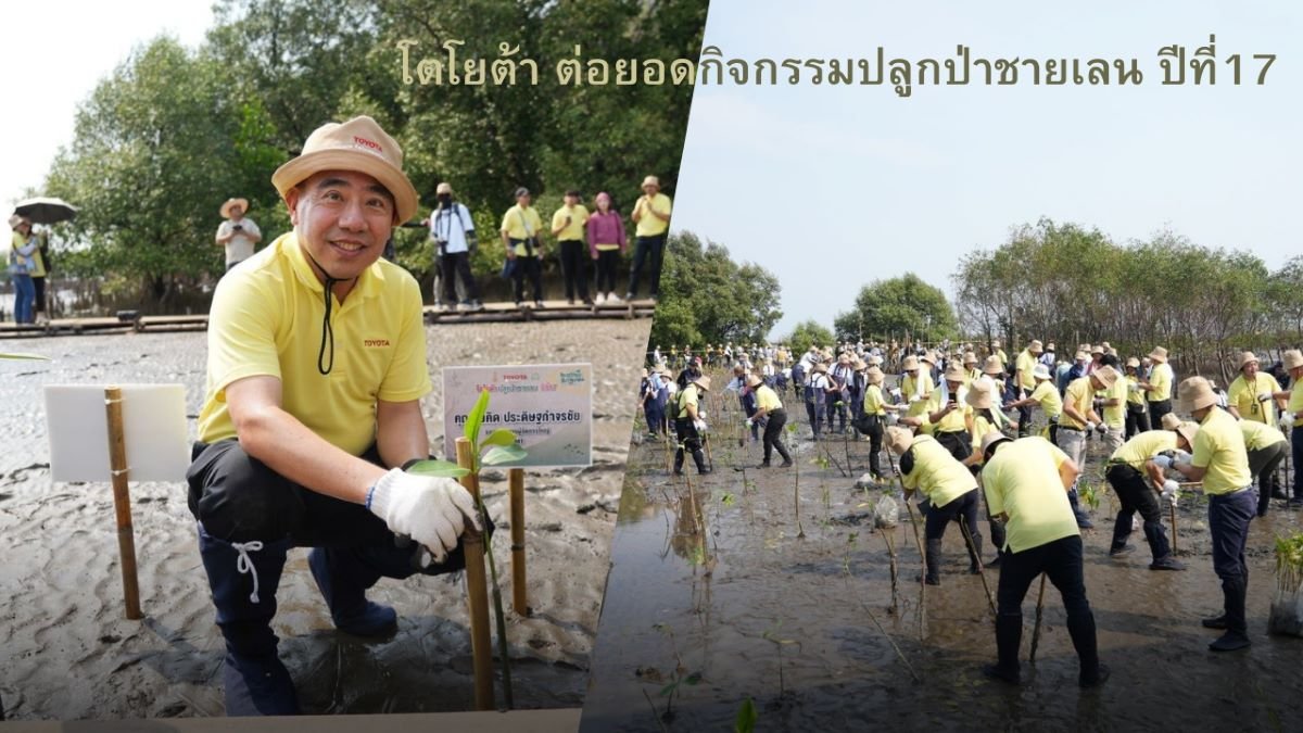โตโยต้า ปลูกป่าชายเลนบางปู 5 หมื่นต้น ต่อยอดกิจกรรม “โตโยต้าปลูกป่าชายเลน ปีที่ 17”  โตโยต้า ปลูกป่าชายเลนบางปู 5 หมื่นต้น ต่อยอดกิจกรรม “โตโยต้าปลูกป่าชายเลน ปีที่ 17”