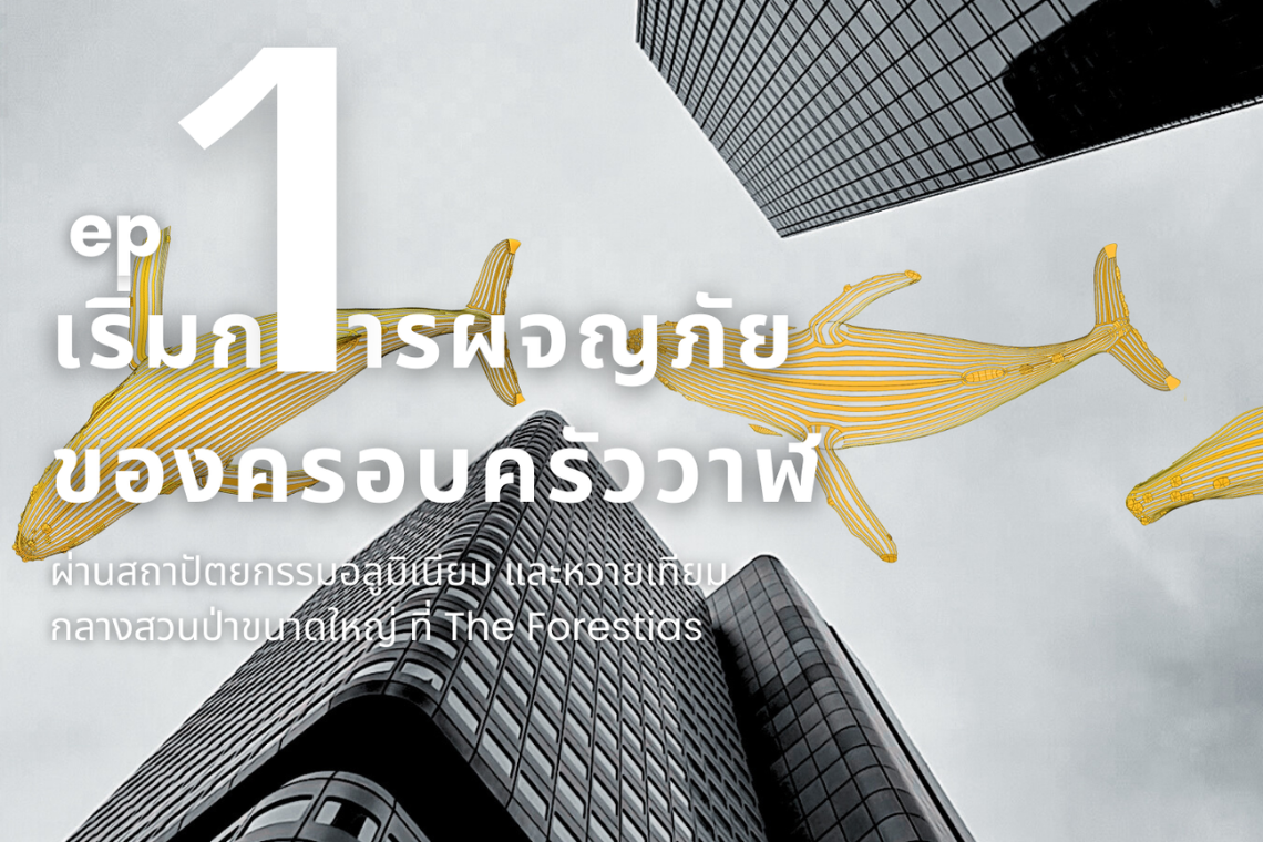 Ep.1 เริ่มการผจญภัยของครอบครัววาฬ (ผ่านสถาปัตยกรรมอลูมิเนียม และหวายเทียม กลางสวนป่าขนาดใหญ่ที่ The Forestias) Ep.1 เริ่มการผจญภัยของครอบครัววาฬ (ผ่านสถาปัตยกรรมอลูมิเนียม และหวายเทียม กลางสวนป่าขนาดใหญ่ที่ The Forestias)