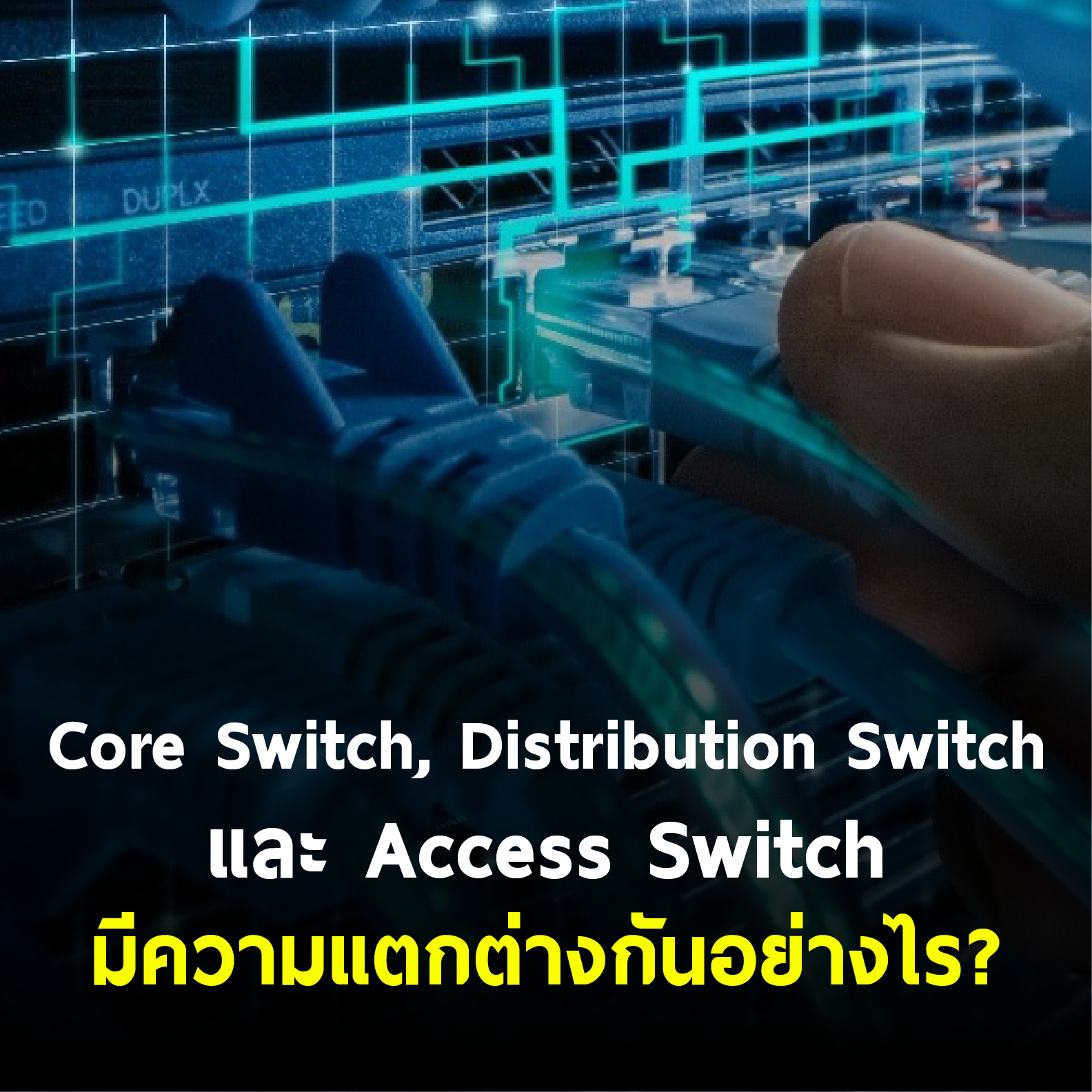Install Core Switch Core Switch, Distribution Switch และ Access Switch มีความแตกต่างกันอย่างไร?