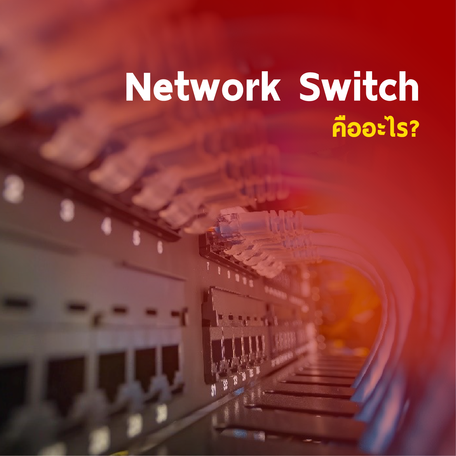 Network Switch คืออะไร?