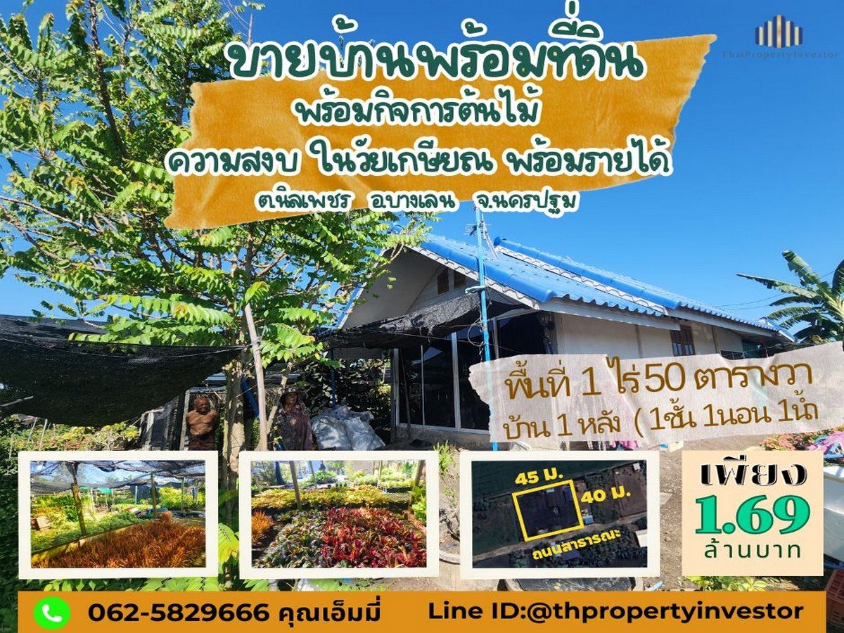 ขายบ้าน บางเลน นครปฐม | บ้านพร้อมที่ดิน 450 ตร.วา ทำสวนต้นไม้ มีรายได้จริง