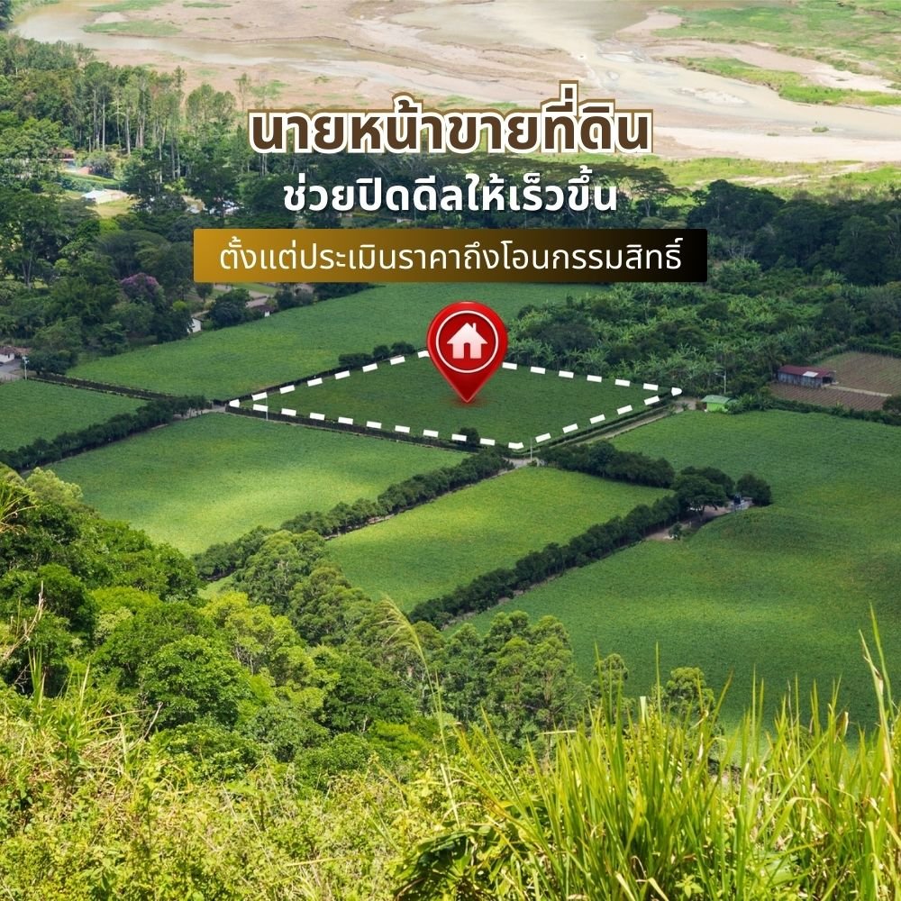 นายหน้าขายที่ดินช่วยปิดดีลให้เร็วขึ้น ตั้งแต่ประเมินราคาถึงโอนกรรมสิทธิ์