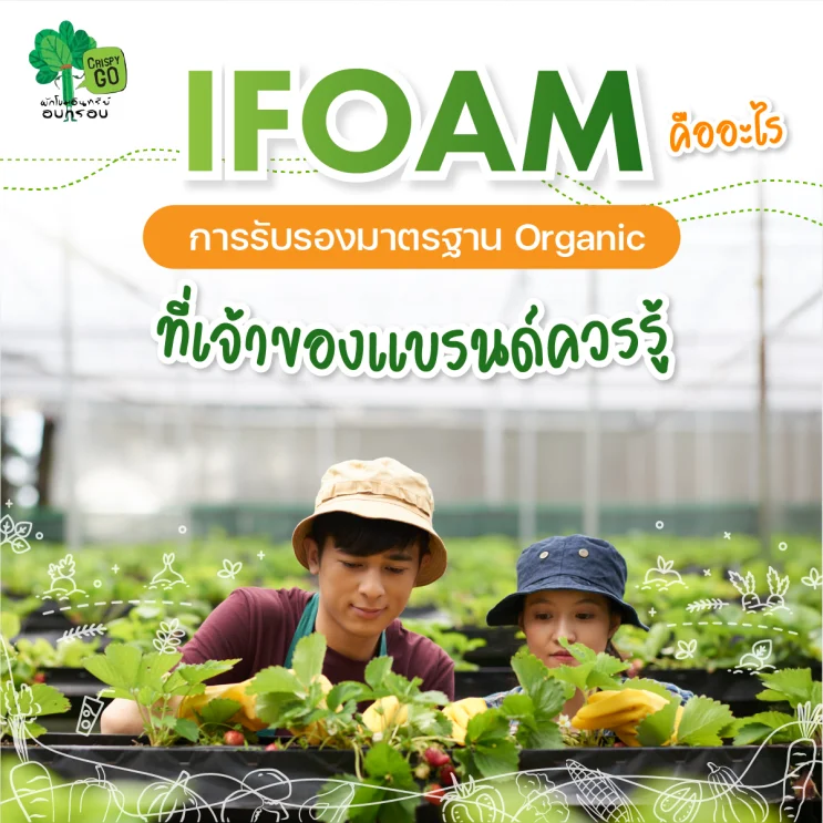 คืออะไร การรับรองมาตรฐาน Organic ที่เจ้าของแบรนด์ควรรู้