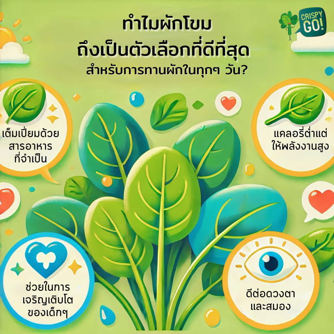 ทำไมผักโขมถึงเป็นตัวเลือกที่ดีที่สุดสำหรับการทานผักในทุกๆ วัน?