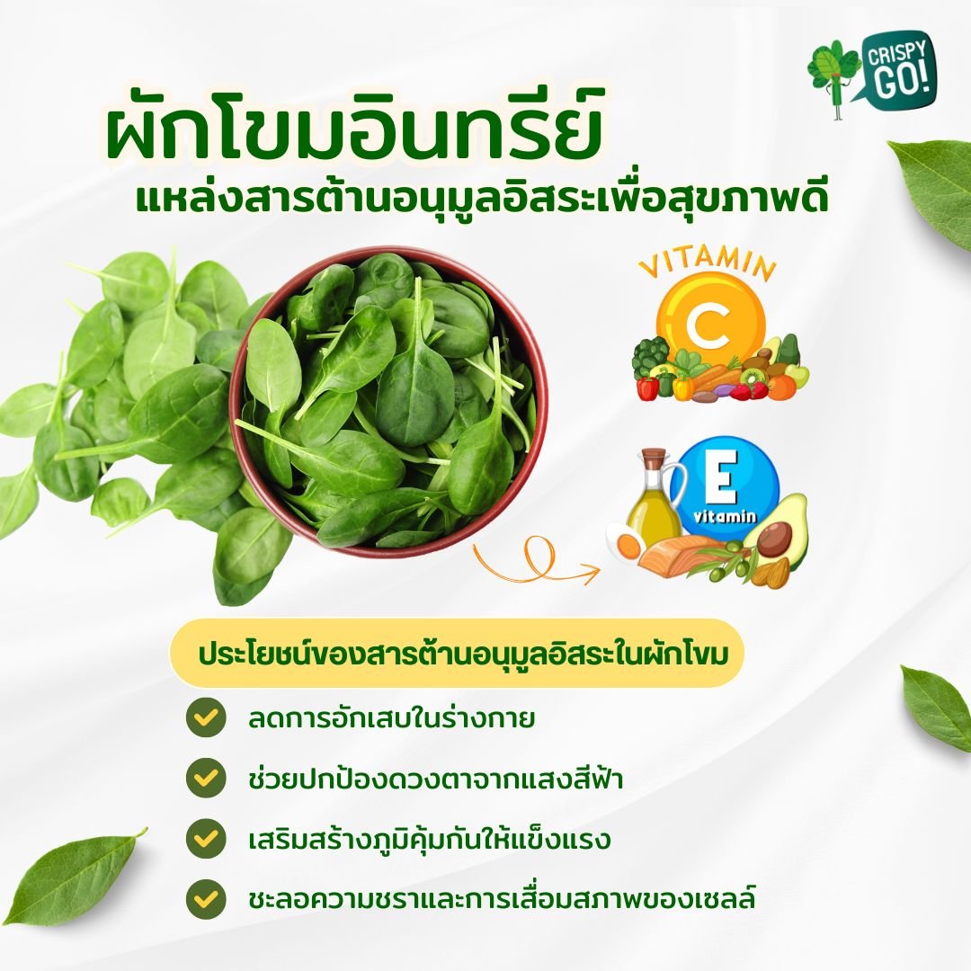 Organic Spinach: A Source of Antioxidants for Good Health