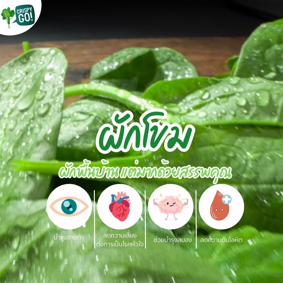 ผักโขมซูเปอร์ฟู้ดที่ไม่ควรมองข้าม