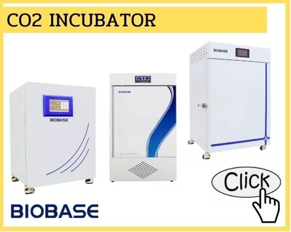 Co2 Incubator
