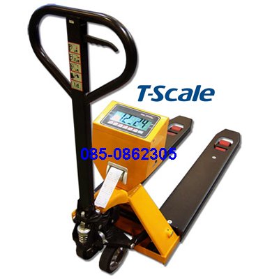 T-scale TPS-II
