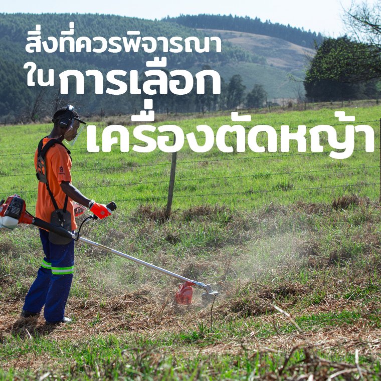 สิ่งที่พิจารณาในการเลือกเครื่องตัดหญ้า สิ่งที่พิจารณาในการเลือกเครื่องตัดหญ้า