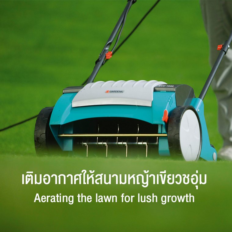 Aerating the lawn for lush growth Aerating the lawn for lush growth