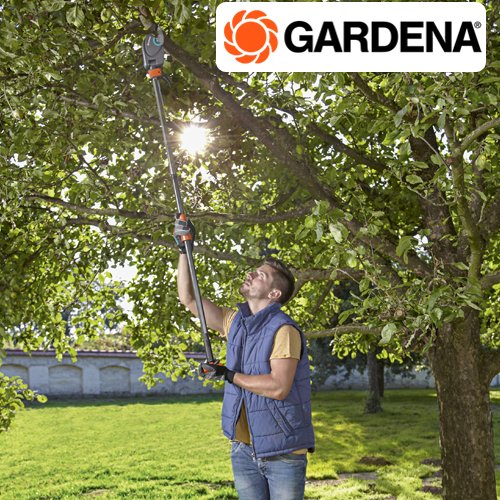 วิธีการตัดกิ่งไม้สูงอย่างไรไม่ให้เกิดอันตราย วิธีการตัดกิ่งไม้สูงอย่างไรไม่ให้เกิดอันตราย