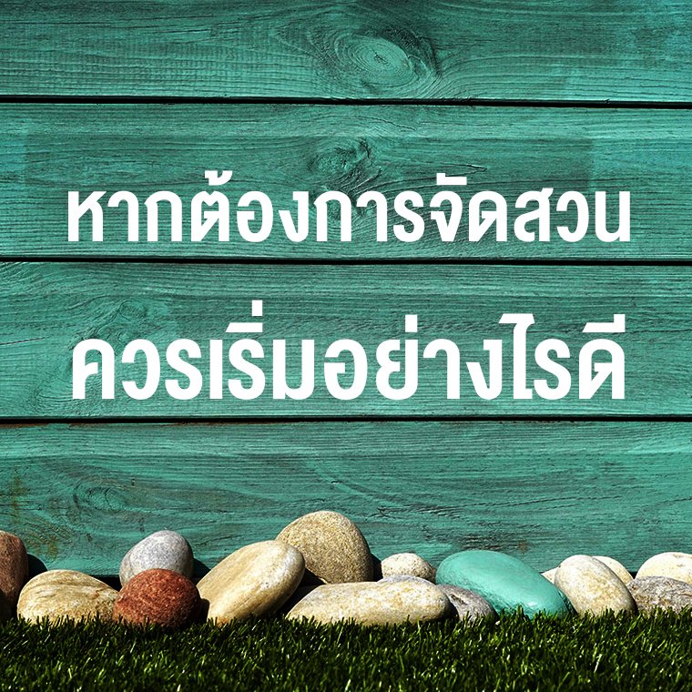 หากต้องการจัดสวน ควรเริ่มอย่างไรดี หากต้องการจัดสวน ควรเริ่มอย่างไรดี