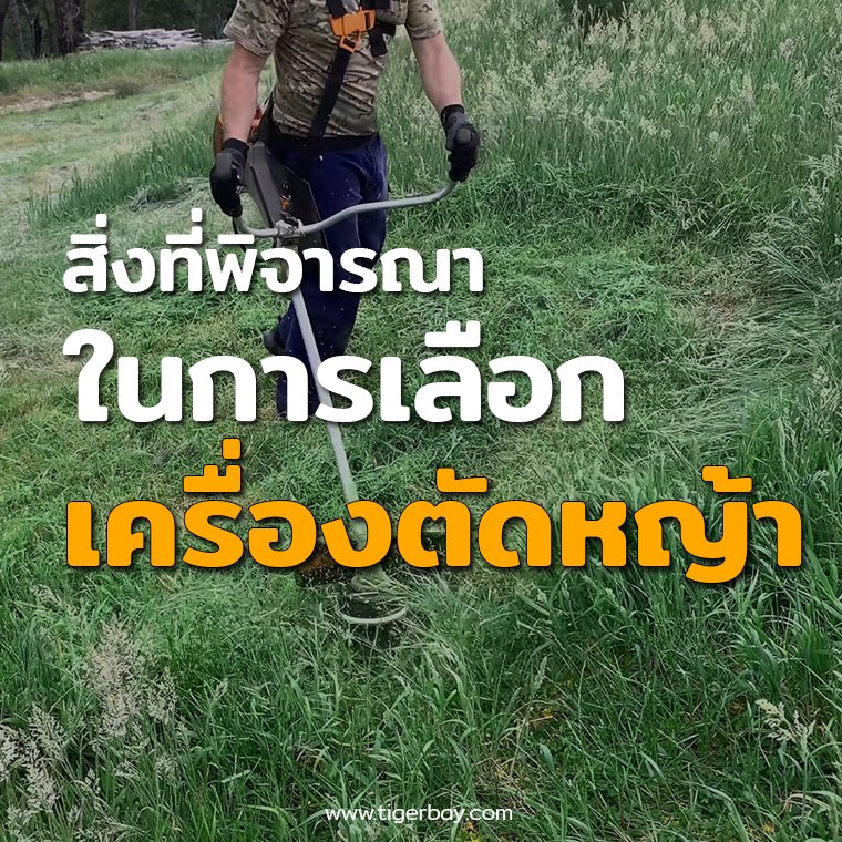 สิ่งที่พิจารณาในการเลือกเครื่องตัดหญ้า