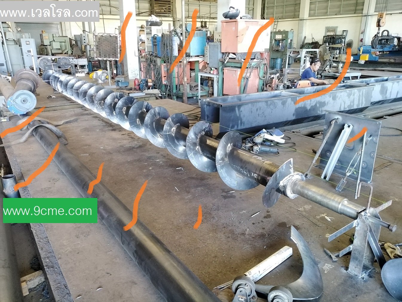 ใบเกลียว ใบเกลียว