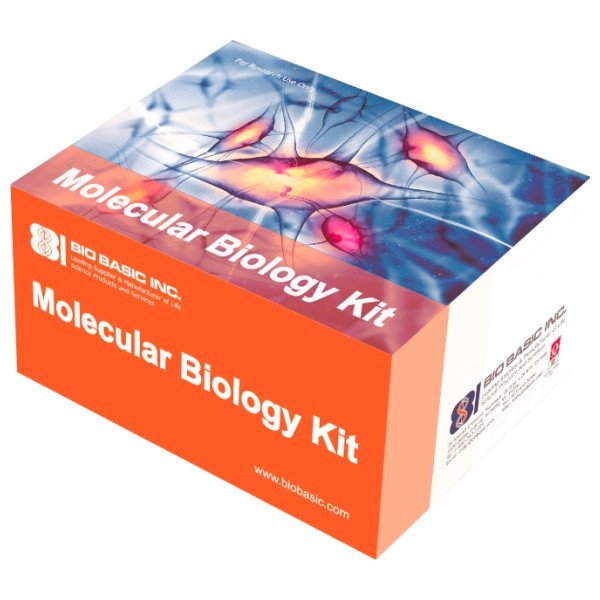 pUCM-T Cloning Vector Kit, (T&A Cloning Kit)