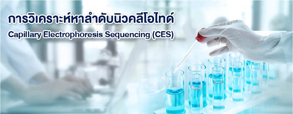 การวิเคราะห์หาลำดับนิวคลีโอไทด์ Capillary Electrophoresis Sequencing (CES)