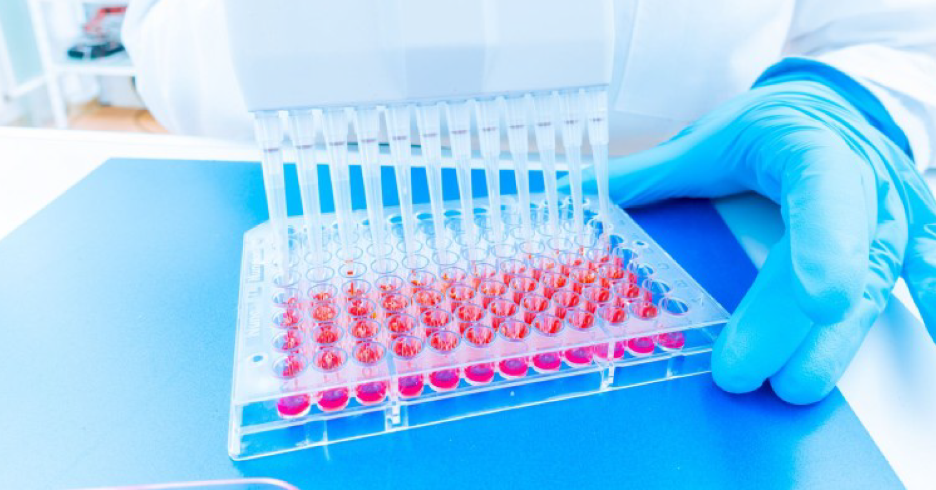 PCR และ qPCR: หลักการพื้นฐานและการประยุกต์ใช้ในงานด้านชีววิทยาและการแพทย์