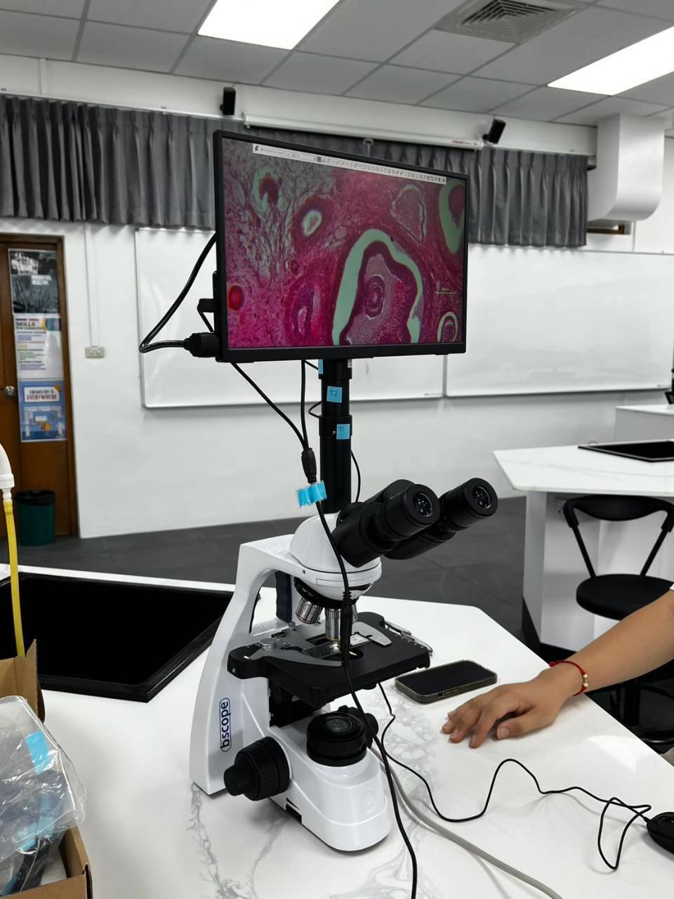 bScope Series Compound Microscopes by Euromex