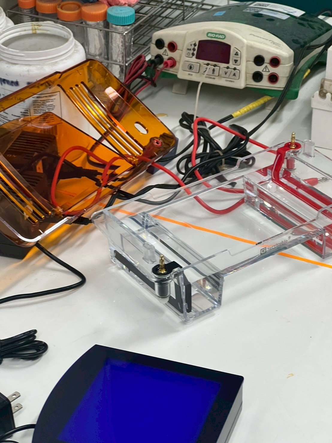 Integrated Horizontal Electrophoresis System (Electrophoresis Tank + blue light transilluminator) - Servicebio