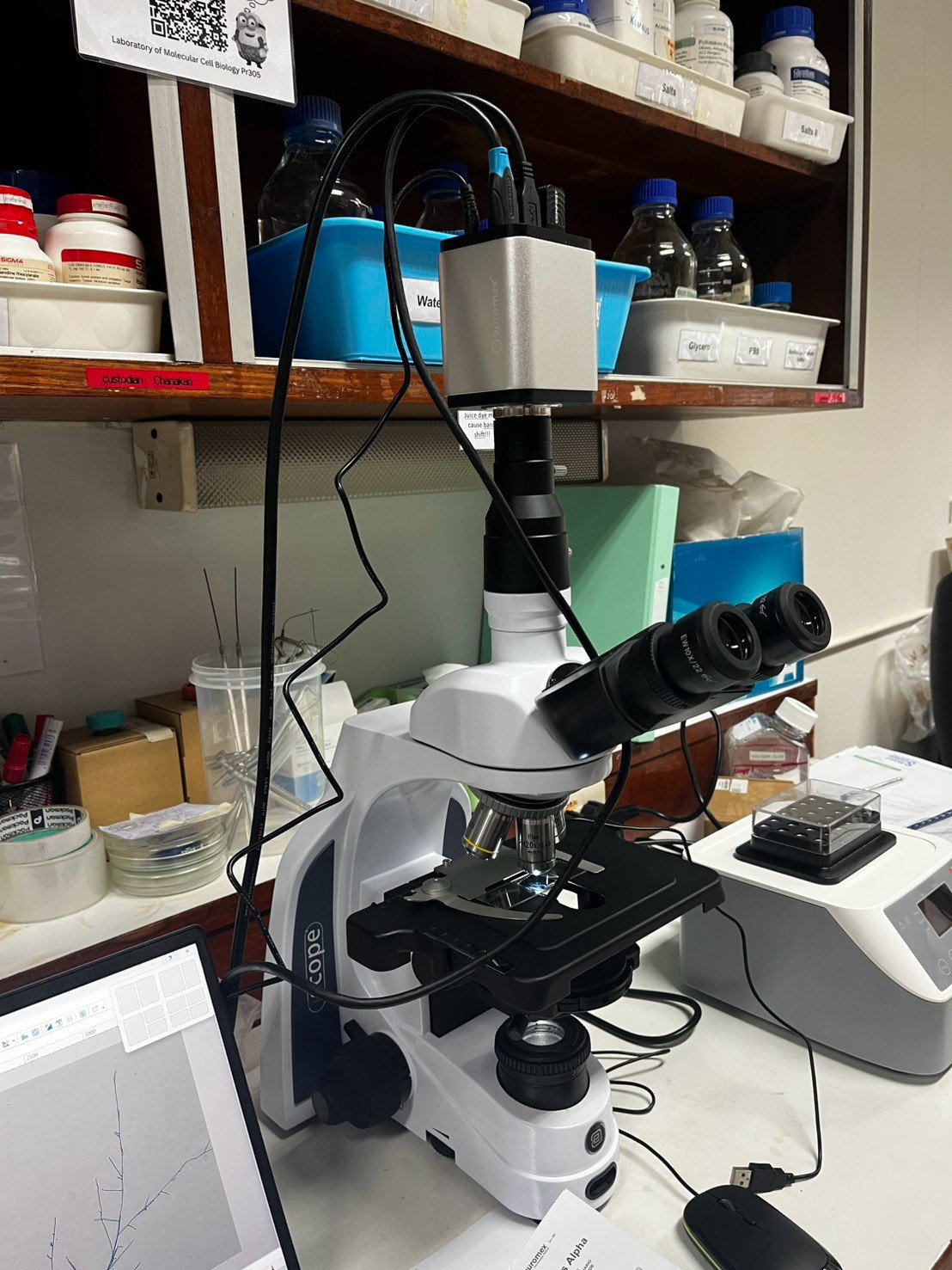iScope Series Microscope by Euromex