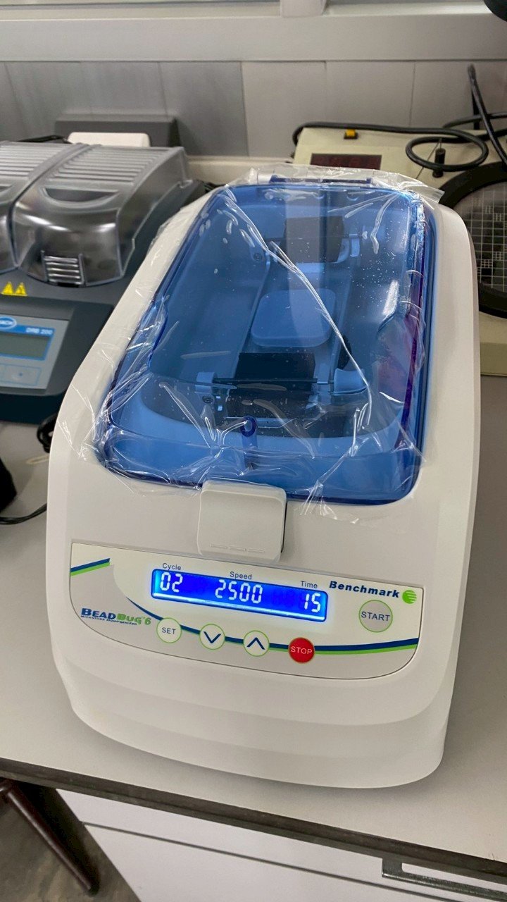 D1036-E BeadBug6, Six Position Homogenizer (Benchmark)