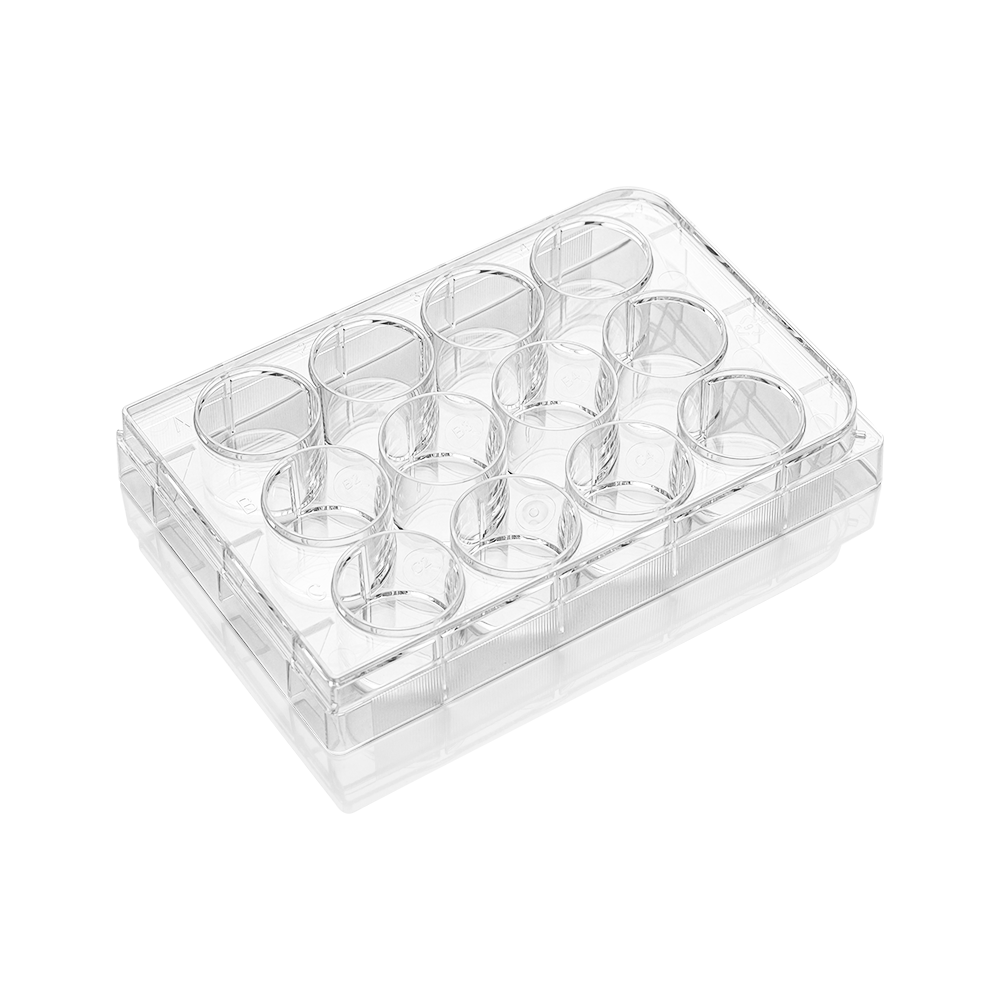 Skin Cell Box TC-treated, skin packing