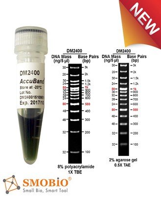 Dm2100 AccuBand™ 100 bp+3K DNA Ladder II, 500 μl