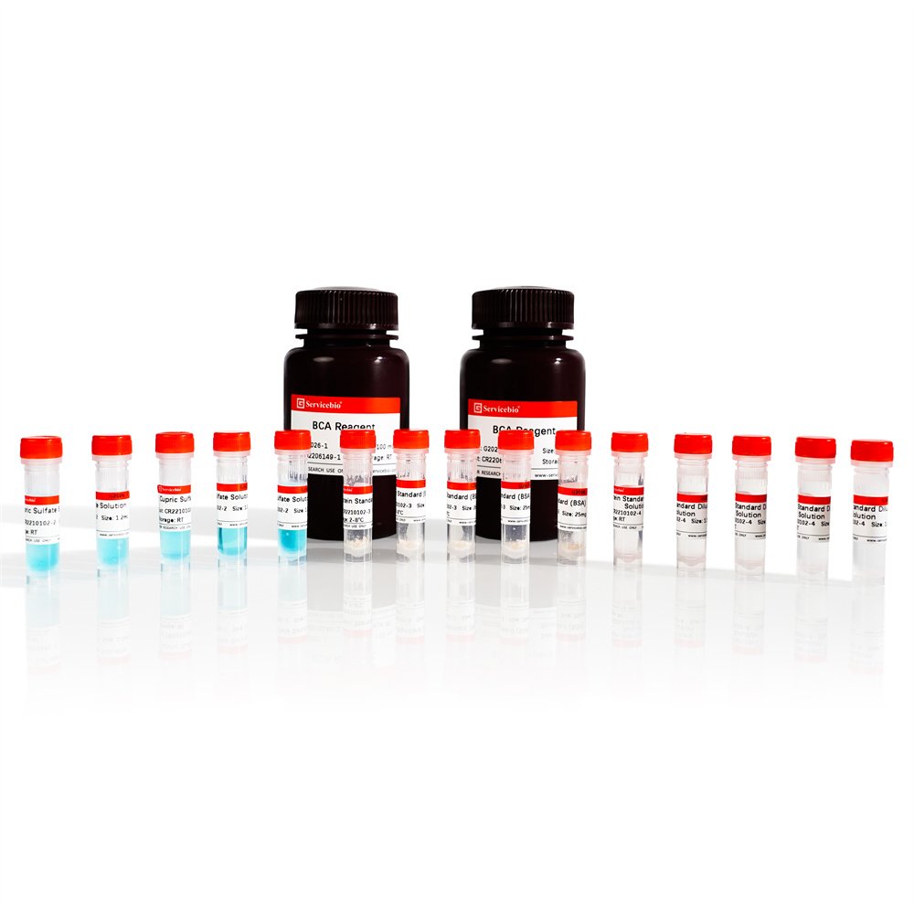 Bca Kit Lab BCA protein concentration determination kit - smartscience