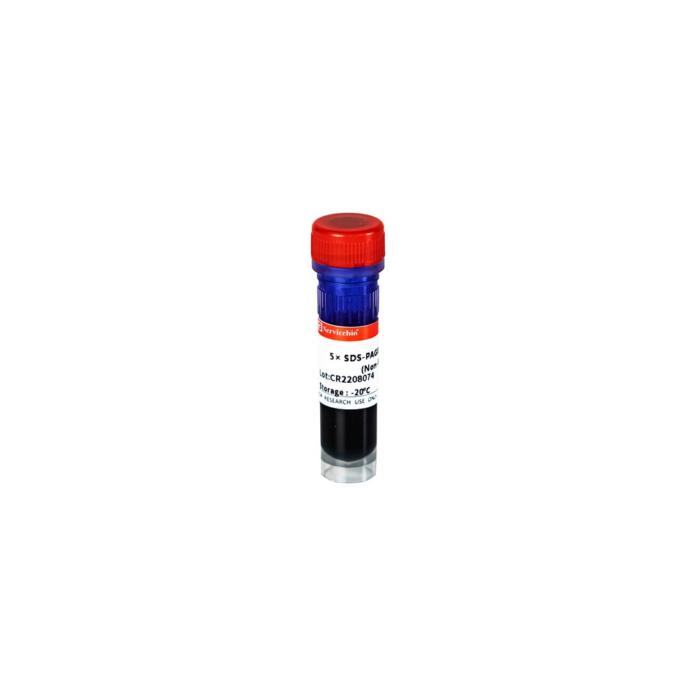 5x Protein Loading buffer (Non-Reducing), 1 ml