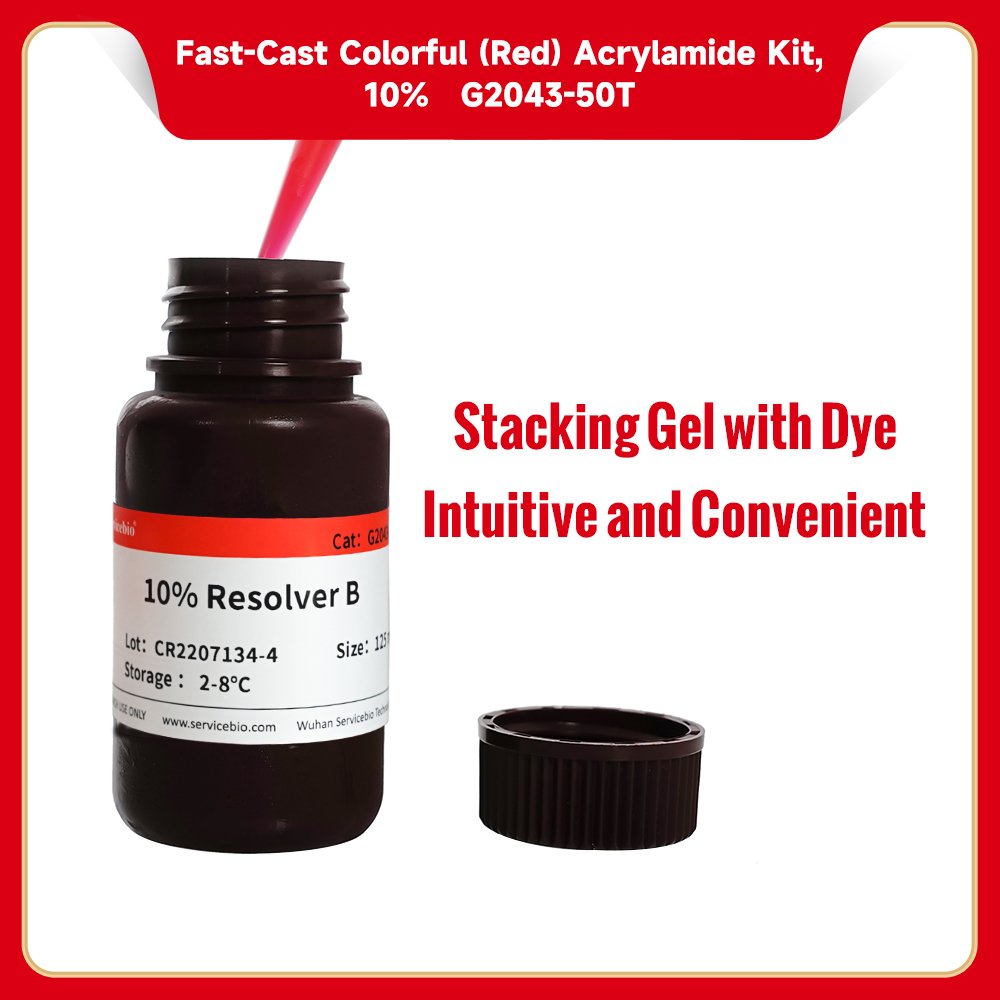 Sds Rill Red 10% SDS-PAGE colored (red) gel ultra-fast preparation kit, 50 T