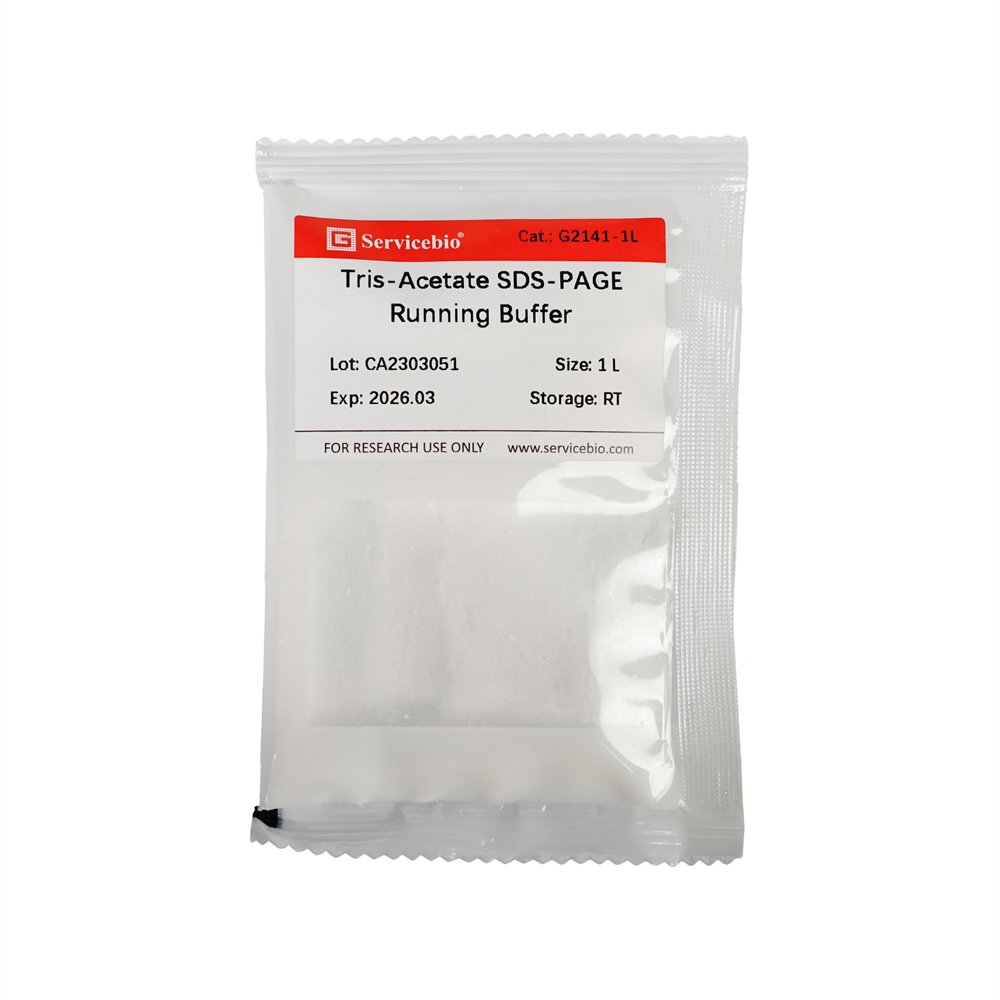 Tris-Acetate SDS-PAGE Running Buffer (Powder), 1 L
