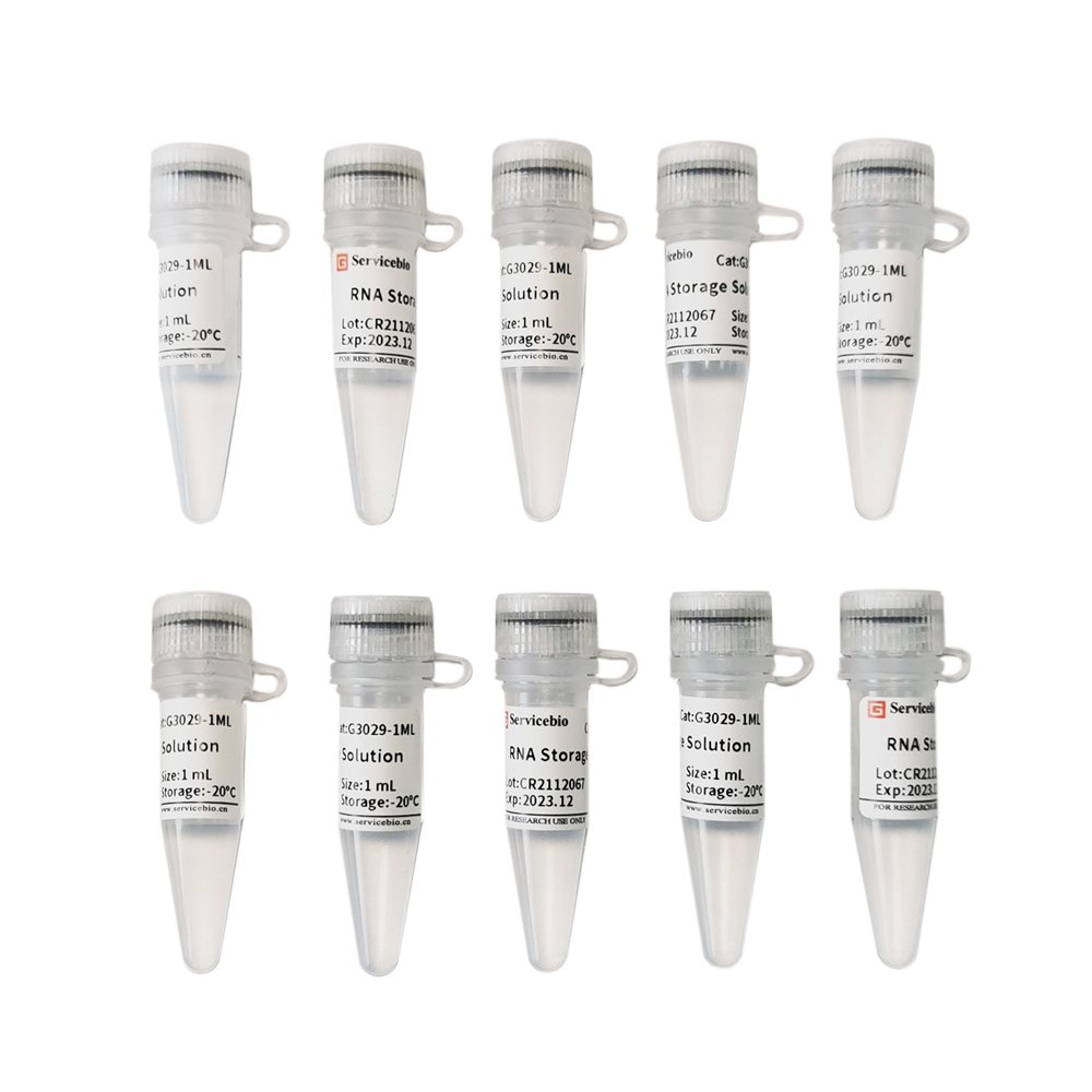 RNA Storage Solution
