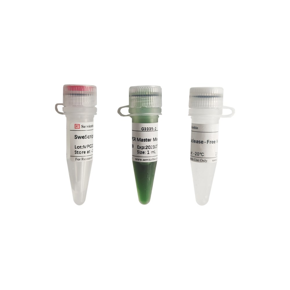 Reverse Transcript Pcr Machine SweScript One-Step RT-PCR Kit (for Reverse transcription series)