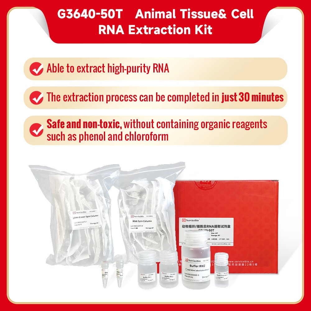 Animal Tissue/Cell Total RNA Extraction Kit, 50 T (for Nucleic Acid ...