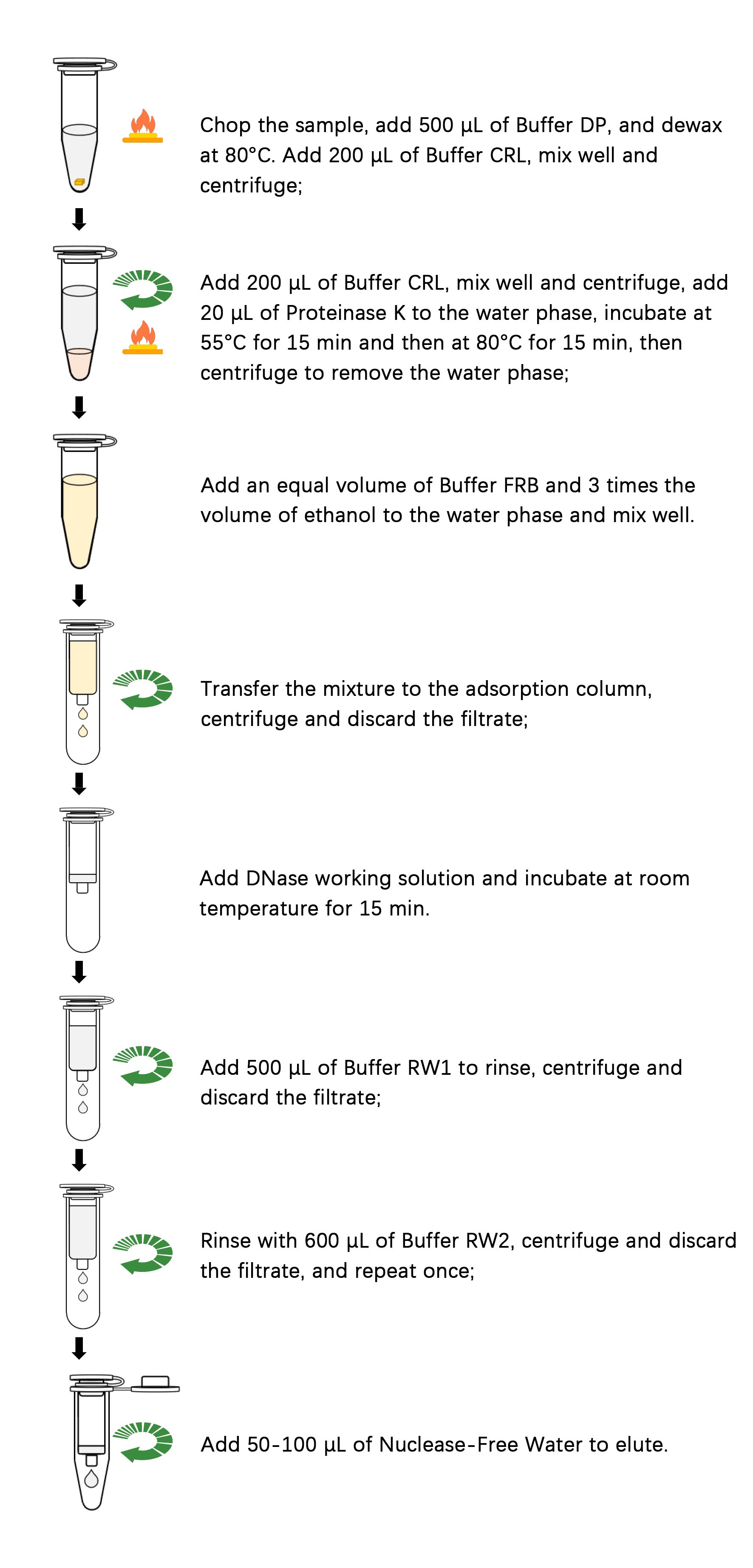 Paraffin-embedded Tissue RNA Extraction Kit, 50 T (for Nucleic Acid ...
