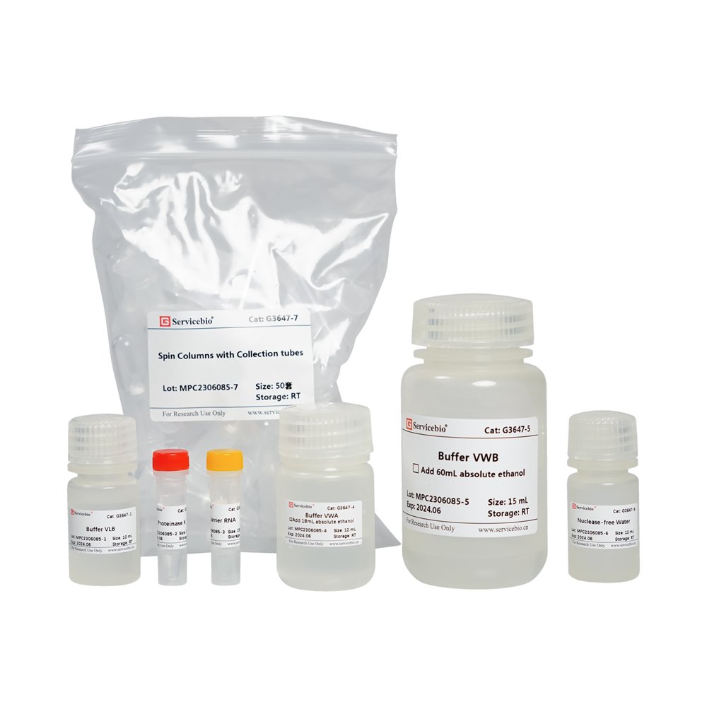 Bacterial DNA/RNA Extraction Kit, 50 T (for Nucleic Acid Extraction)