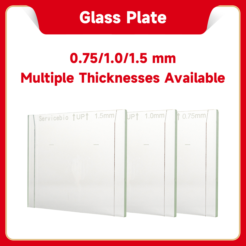 Plotet Glass Glass Plate Set, Concave Glass Plate, Flat Glass Plate (For Servicebio ...