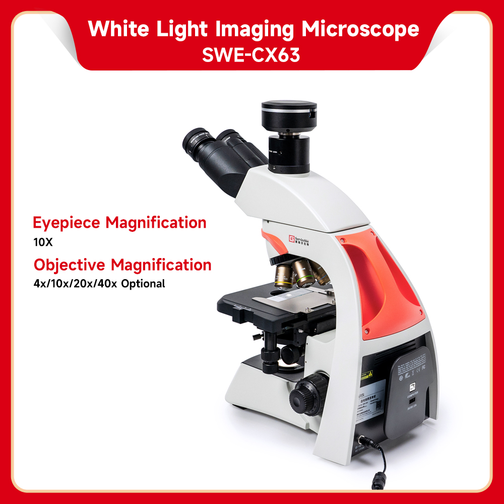 Brightfield Microscope