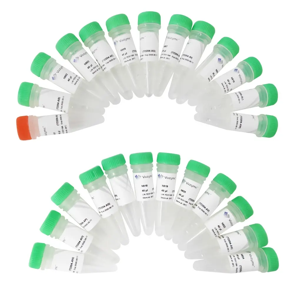 Index > Kit TurePrep Index Kit V4 for Illumina TD206-192 rxns