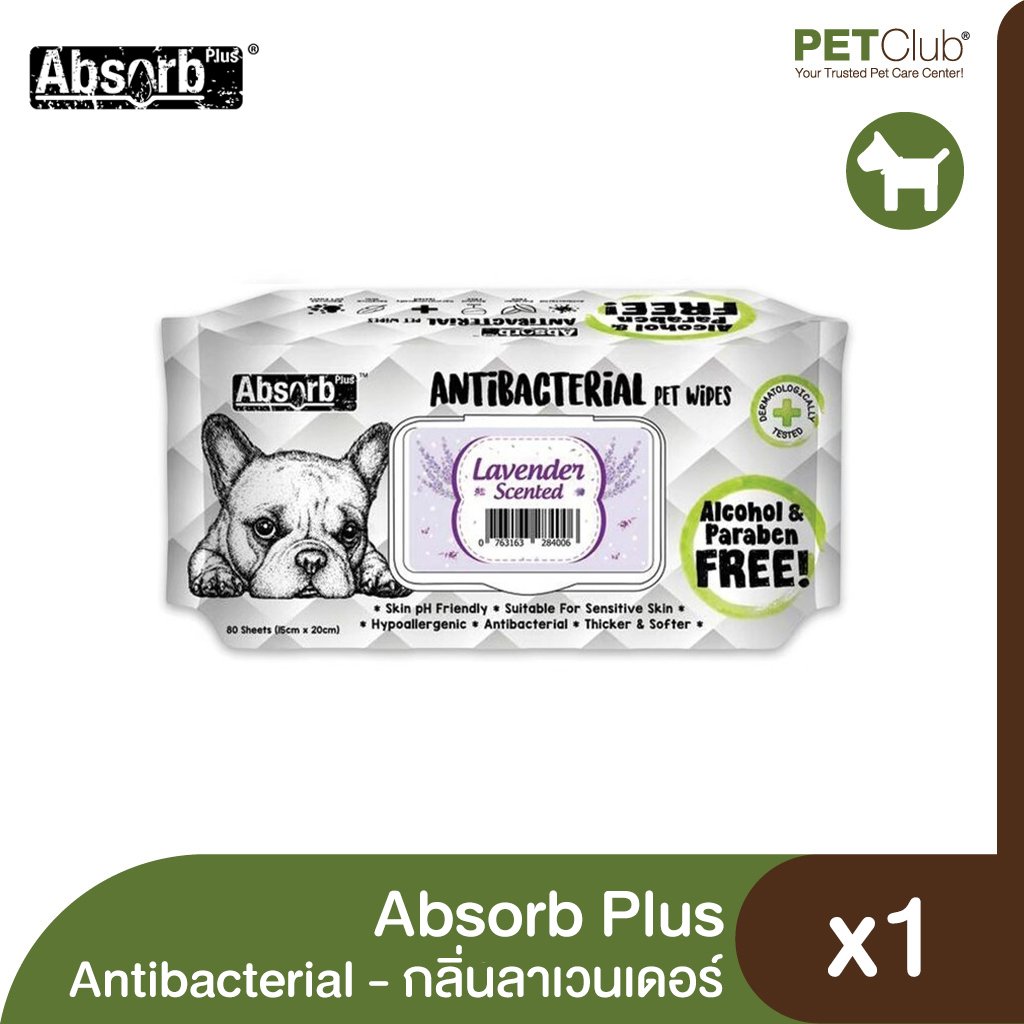 Absorb Plus Antibacterial 80 sheets - petclub