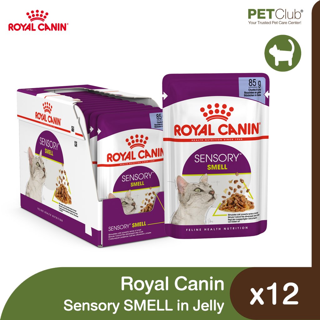 Royal Canin SENSORY SMELL Chunks in Jelly - อาหารแมวโตช่างเลือก กระตุ้นการกินด้วยกลิ่นหอมเฉพาะในเจลลี่