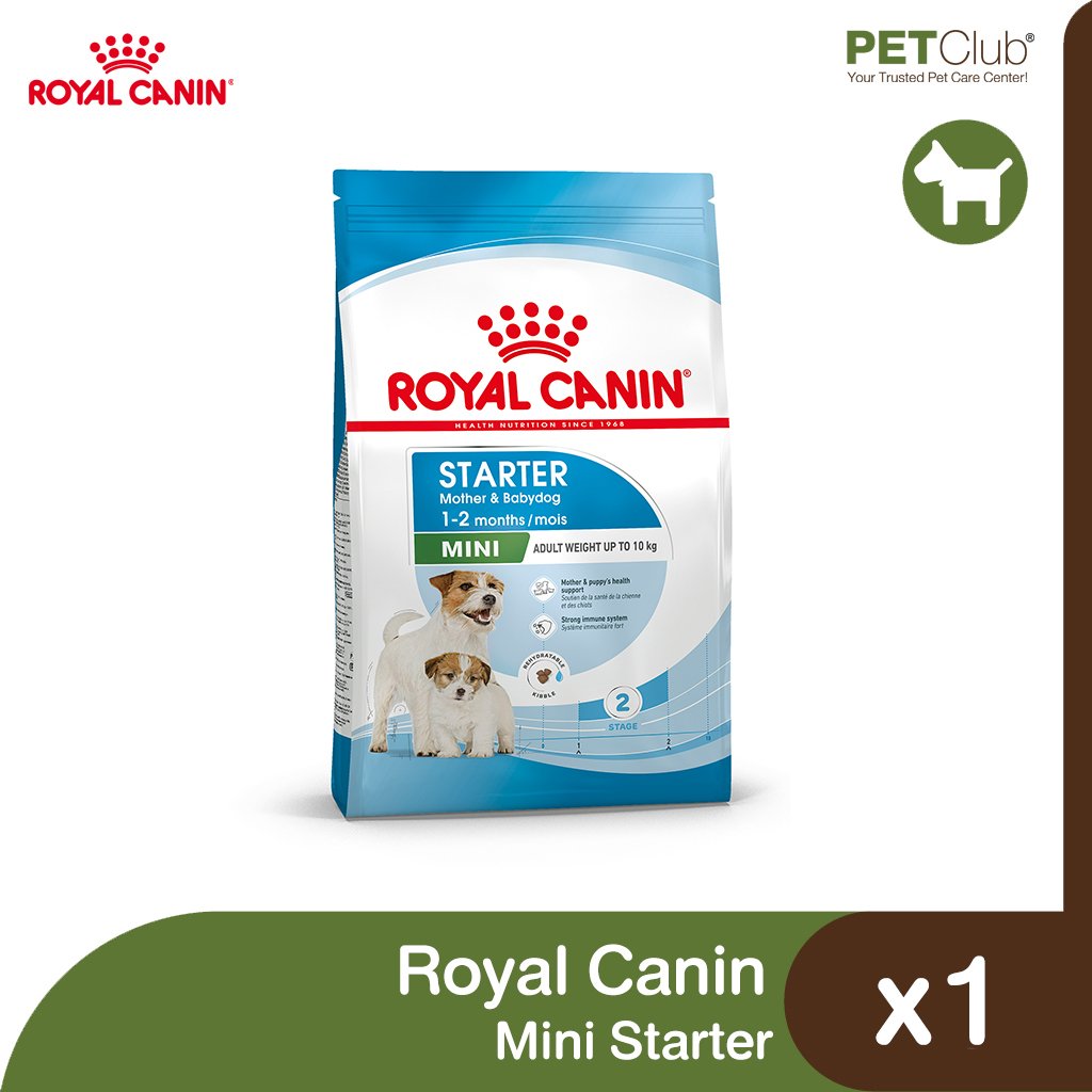 Royal Canin Mini Starter Mother & Babydog - สำหรับแม่สุนัขและและลูกสุนัขหย่านมพันธุ์เล็ก