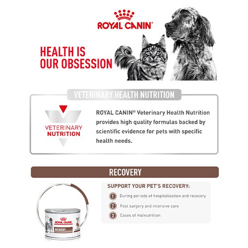 Royal Canin Veterinary Dog and Cat Recovery Ultra Soft Mousse