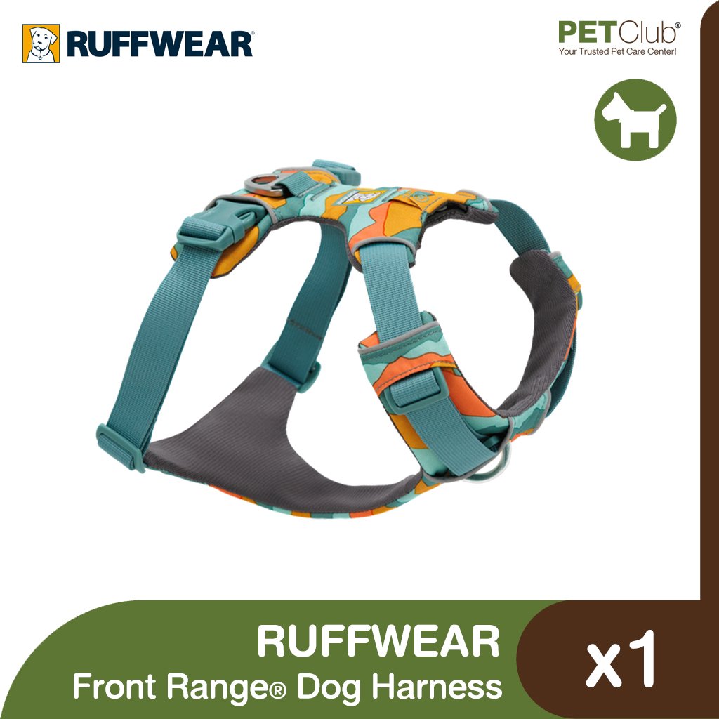 Best Dog Harness 2026: 5 Compared for No-Pull Control & Fit